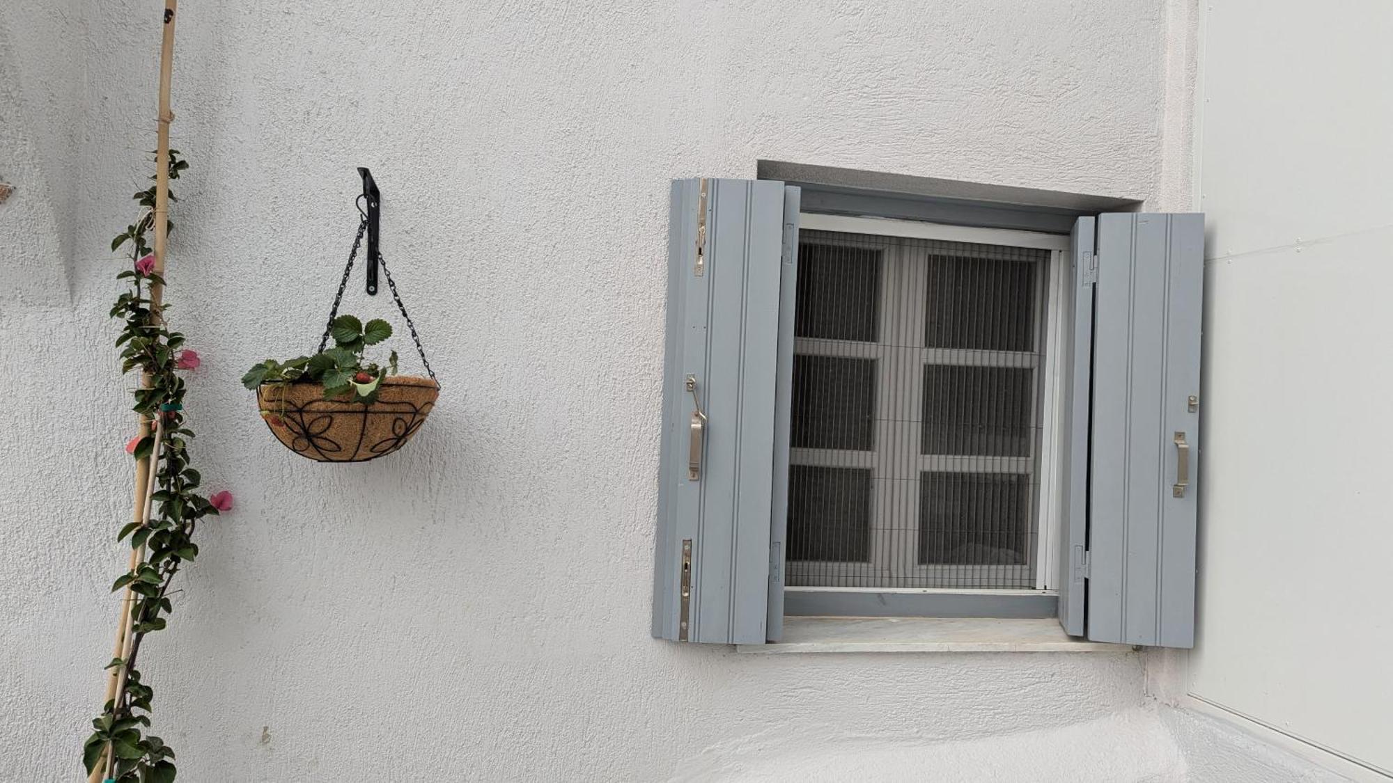 The Botanist Guesthouse Skopelos Zewnętrze zdjęcie