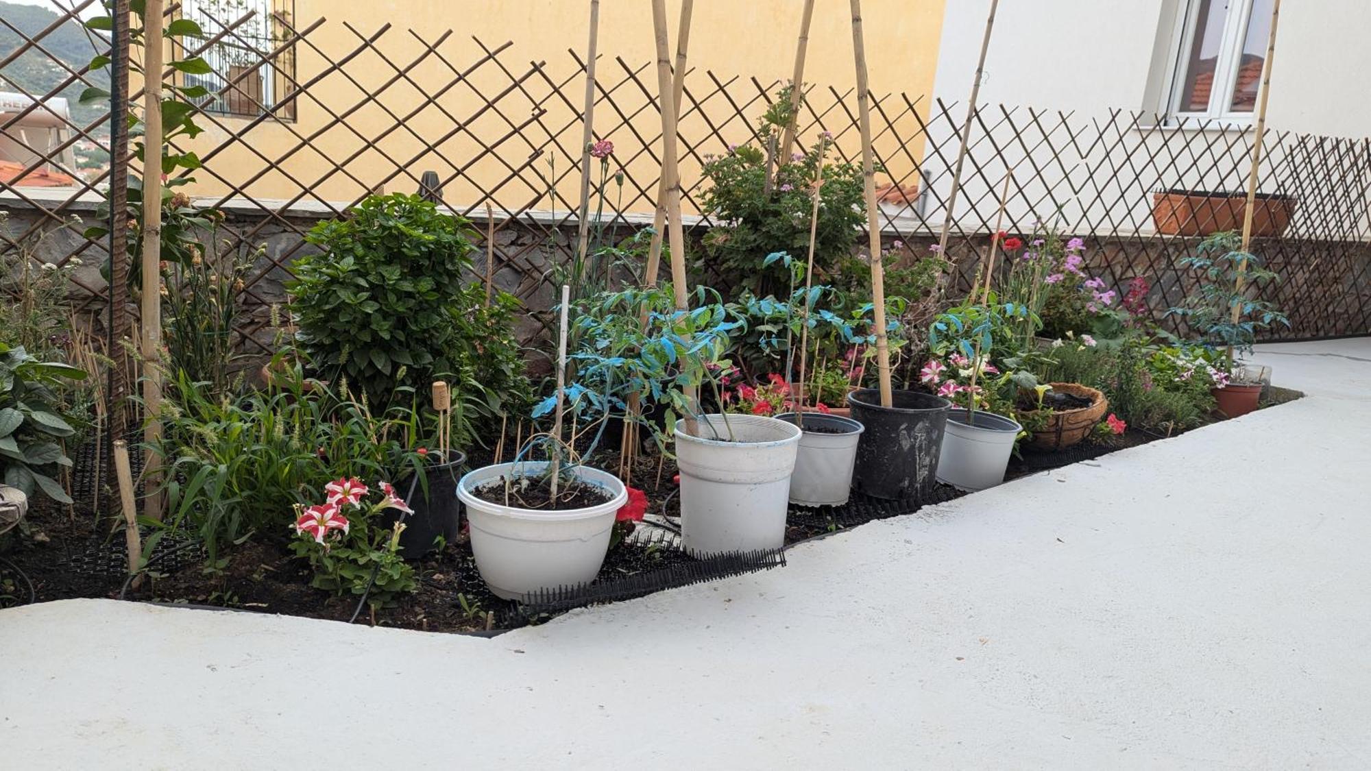 The Botanist Guesthouse Skopelos Zewnętrze zdjęcie