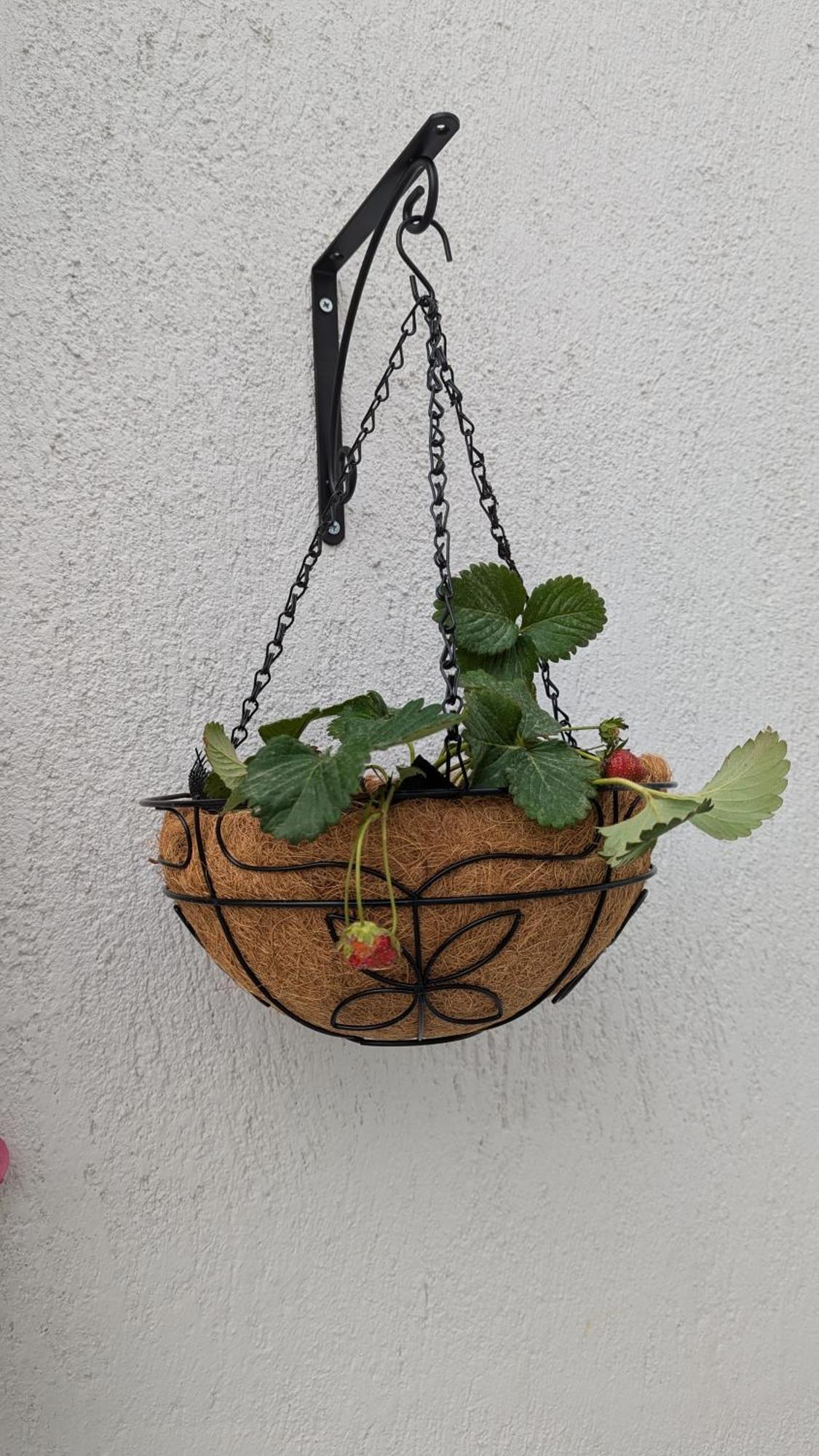 The Botanist Guesthouse Skopelos Zewnętrze zdjęcie