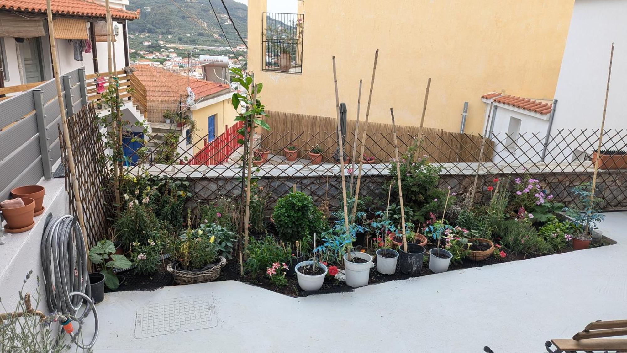 The Botanist Guesthouse Skopelos Zewnętrze zdjęcie