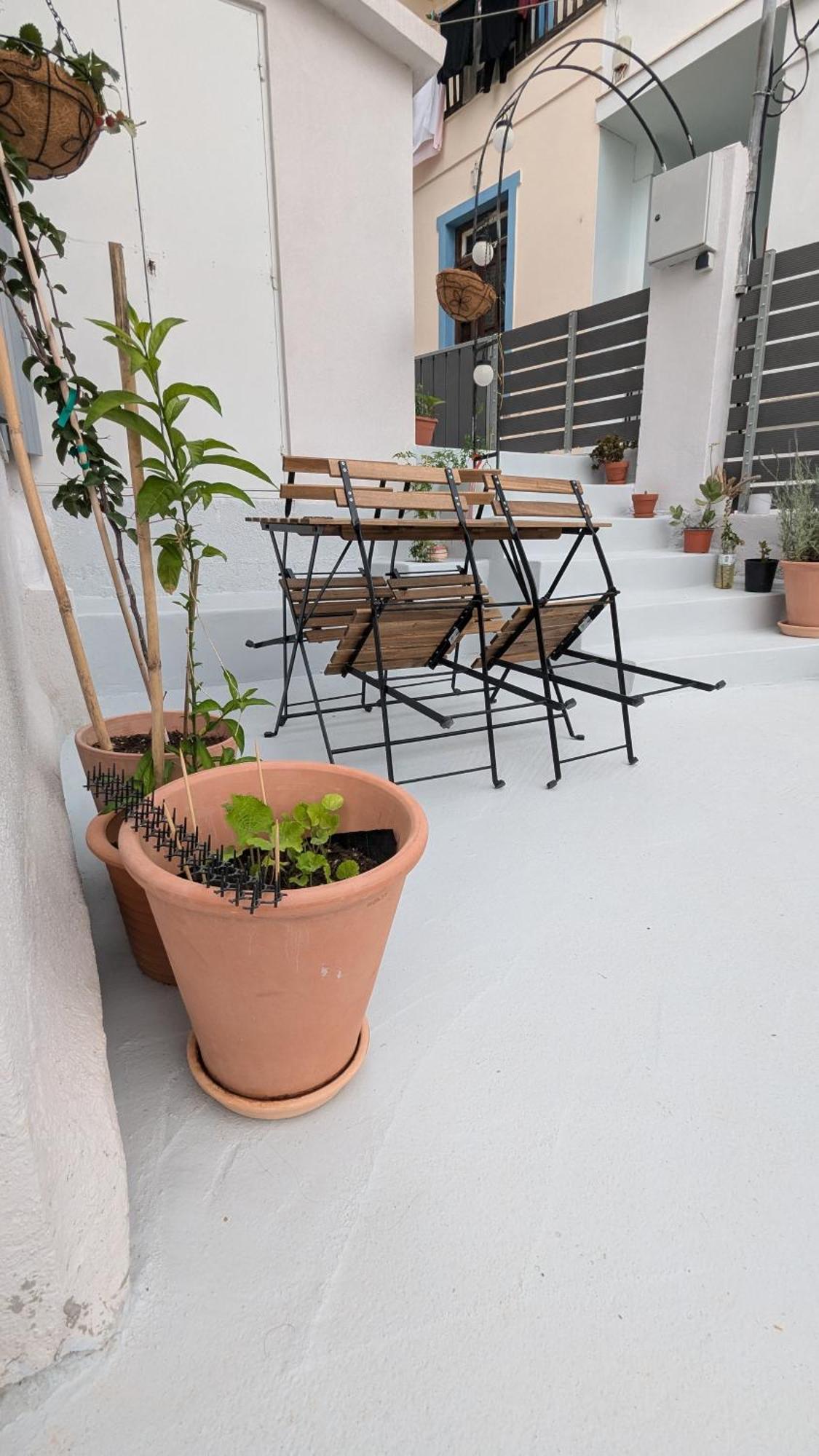 The Botanist Guesthouse Skopelos Zewnętrze zdjęcie